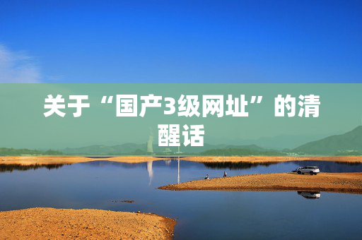 关于“国产3级网址”的清醒话  第1张