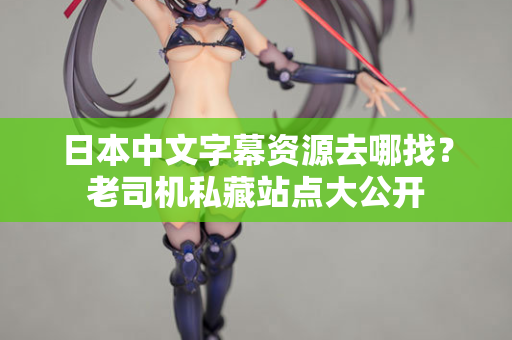 日本中文字幕资源去哪找？老司机私藏站点大公开  第2张