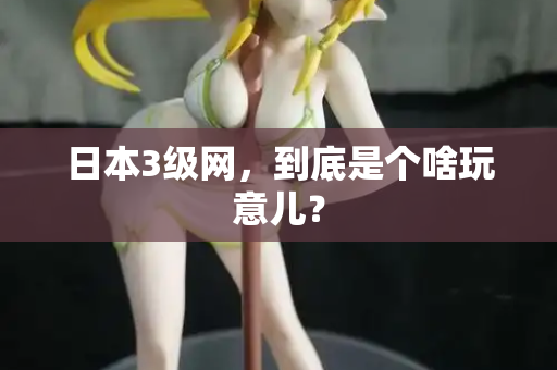 日本3级网，到底是个啥玩意儿？