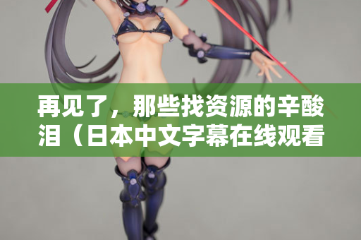 再见了，那些找资源的辛酸泪（日本中文字幕在线观看的正确打开方式）
