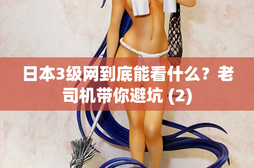 日本3级网到底能看什么？老司机带你避坑 (2)  第3张