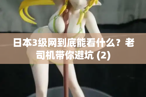 日本3级网到底能看什么？老司机带你避坑 (2)  第1张
