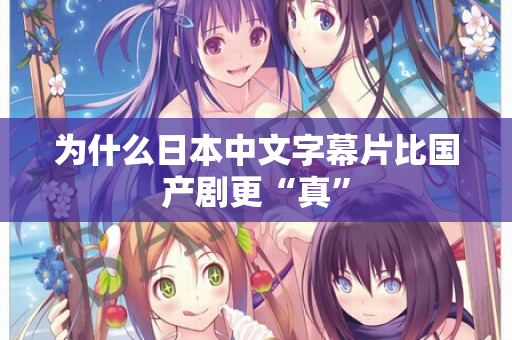 为什么日本中文字幕片比国产剧更“真” 第1张 为什么日本中文字幕片比国产剧更“真” 第1张