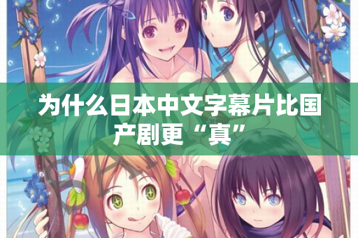 为什么日本中文字幕片比国产剧更“真” 第2张 为什么日本中文字幕片比国产剧更“真” 第2张