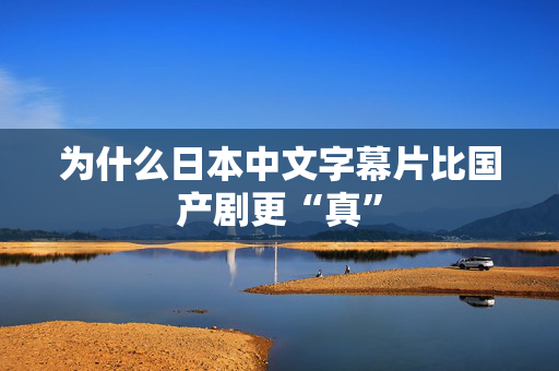 为什么日本中文字幕片比国产剧更“真” 第3张 为什么日本中文字幕片比国产剧更“真” 第3张
