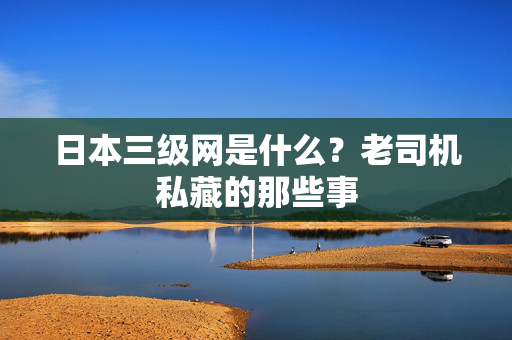 日本三级网是什么？老司机私藏的那些事  第2张