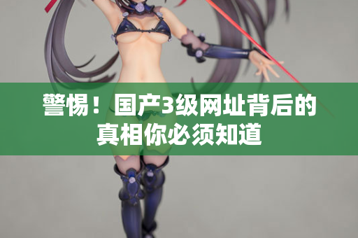 警惕！国产3级网址背后的真相你必须知道  第1张