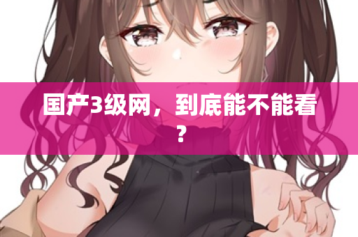 国产3级网，到底能不能看？  第2张