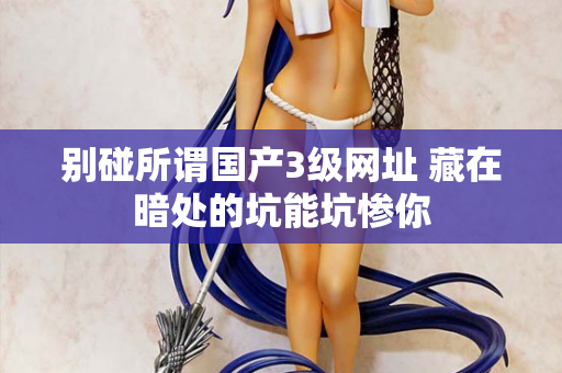 别碰所谓国产3级网址 藏在暗处的坑能坑惨你