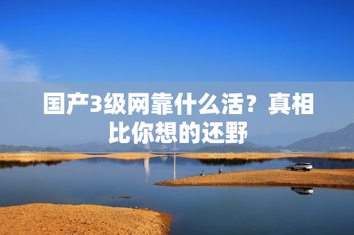 国产3级网靠什么活？真相比你想的还野  第2张