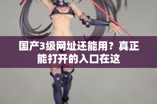 国产3级网址还能用？真正能打开的入口在这  第2张