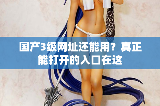 国产3级网址还能用？真正能打开的入口在这  第1张