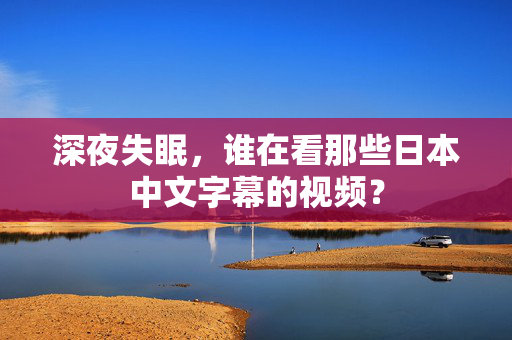 深夜失眠，谁在看那些日本中文字幕的视频？  第1张