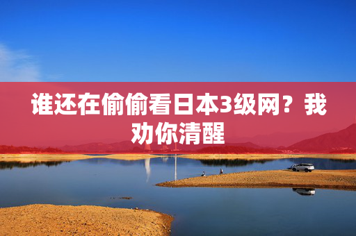谁还在偷偷看日本3级网?我劝你清醒 第2张 谁还在偷偷看日本3级网?我劝你清醒 第2张