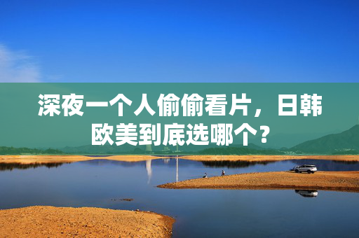 深夜一个人偷偷看片,日韩欧美到底选哪个? 第3张 深夜一个人偷偷看片,日韩欧美到底选哪个? 第3张