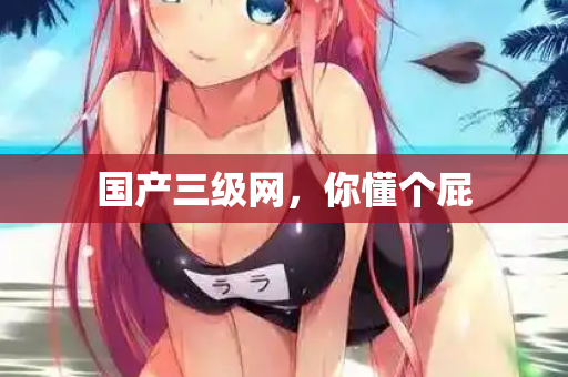 国产三级网，你懂个屁  第1张