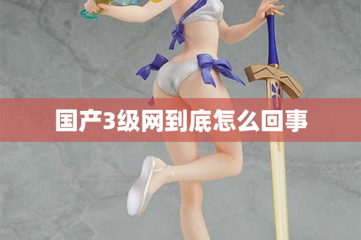 国产3级网到底怎么回事  第3张