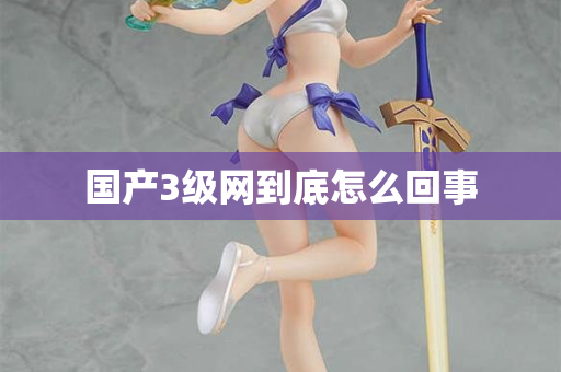 国产3级网到底怎么回事  第2张