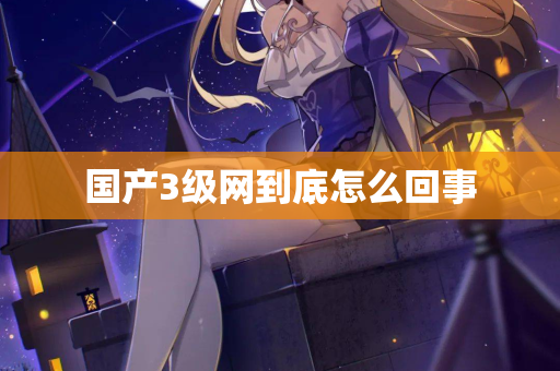 国产3级网到底怎么回事  第1张
