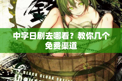 中字日剧去哪看？教你几个免费渠道