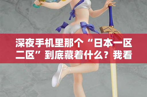 深夜手机里那个“日本一区二区”到底藏着什么?我看了3年才明白 第2张 深夜手机里那个“日本一区二区”到底藏着什么?我看了3年才明白 第2张
