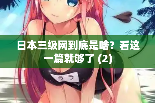 日本三级网到底是啥？看这一篇就够了 (2)