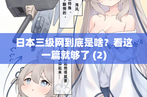 日本三级网到底是啥?看这一篇就够了 (2) 第2张 日本三级网到底是啥?看这一篇就够了 (2) 第2张