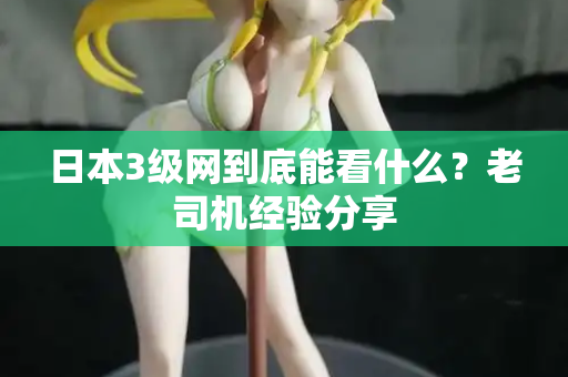 日本3级网到底能看什么？老司机经验分享