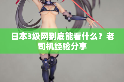日本3级网到底能看什么？老司机经验分享