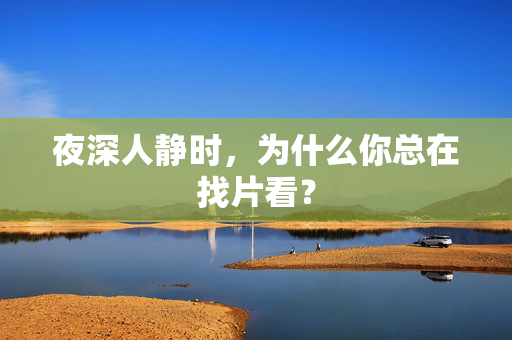 夜深人静时，为什么你总在找片看？