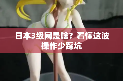 日本3级网是啥？看懂这波操作少踩坑  第3张