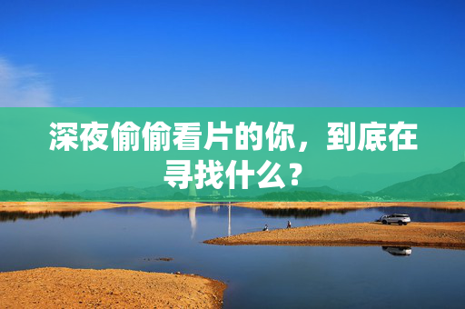 深夜偷偷看片的你，到底在寻找什么？