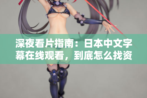 深夜看片指南：日本中文字幕在线观看，到底怎么找资源？