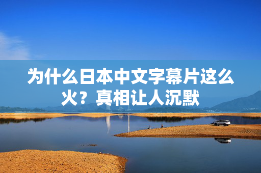 为什么日本中文字幕片这么火?真相让人沉默 第1张 为什么日本中文字幕片这么火?真相让人沉默 第1张