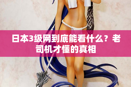 日本3级网到底能看什么？老司机才懂的真相
