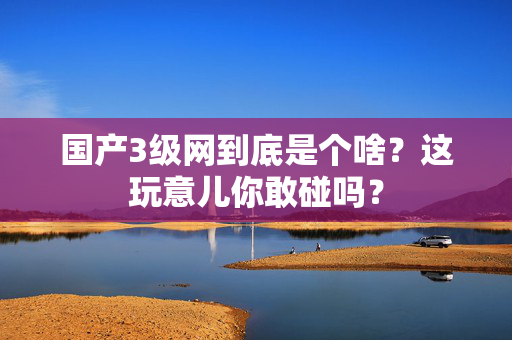 国产3级网到底是个啥？这玩意儿你敢碰吗？