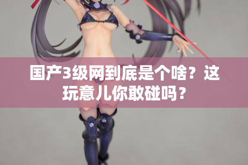 国产3级网到底是个啥？这玩意儿你敢碰吗？  第2张