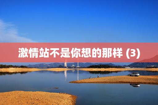激情站不是你想的那样 (3)  第2张