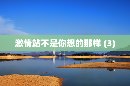 激情站不是你想的那样 (3)  第1张