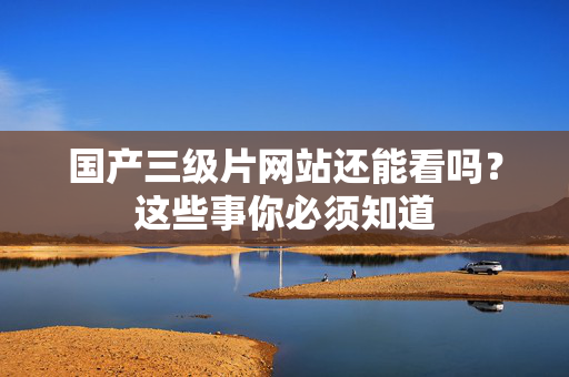 国产三级片网站还能看吗？这些事你必须知道  第3张