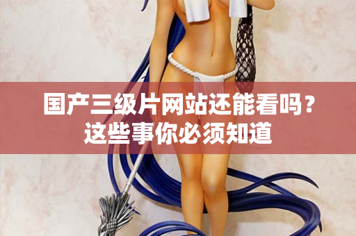 国产三级片网站还能看吗？这些事你必须知道  第1张