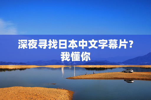 深夜寻找日本中文字幕片？我懂你  第3张