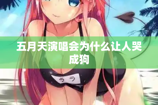 五月天演唱会为什么让人哭成狗 第2张 五月天演唱会为什么让人哭成狗 第2张