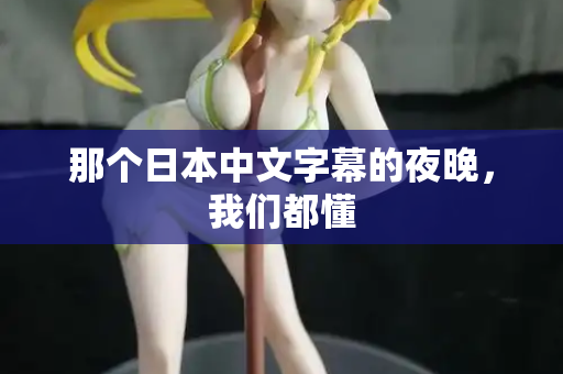 那个日本中文字幕的夜晚，我们都懂