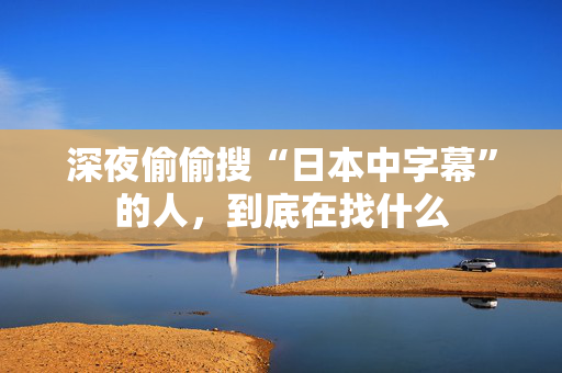 深夜偷偷搜“日本中字幕”的人，到底在找什么  第1张