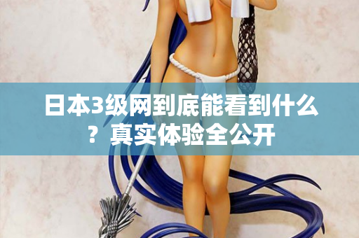 日本3级网到底能看到什么？真实体验全公开  第2张