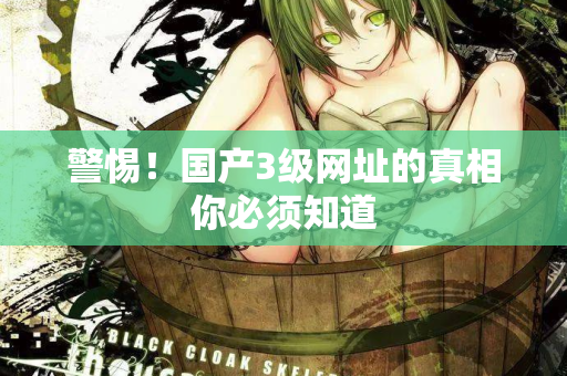 警惕！国产3级网址的真相你必须知道  第2张