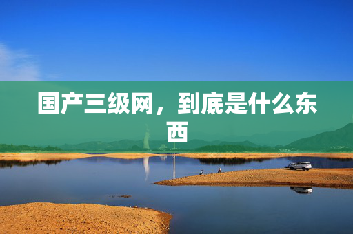 国产三级网，到底是什么东西  第2张