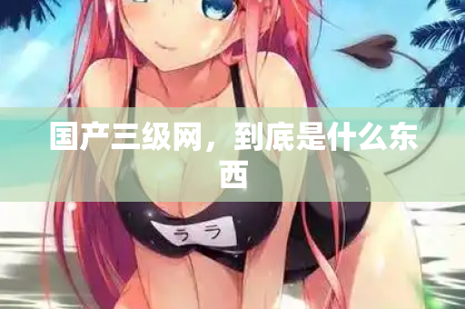 国产三级网，到底是什么东西  第1张