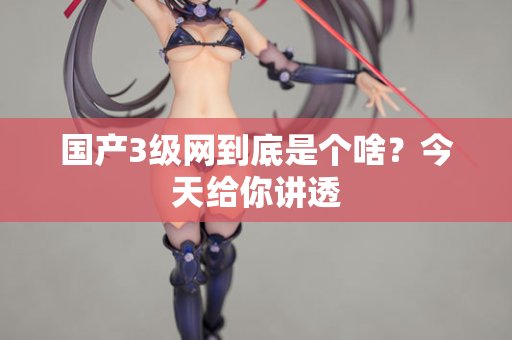 国产3级网到底是个啥？今天给你讲透